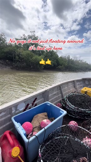 Catching Australian Mud Crabs: Tips and Techniques