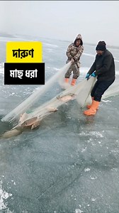 835K views · 9.5K reactions | বরফে এমন মাছ ধরা অনেকেই দেখেনি। | Let's Go | Facebook