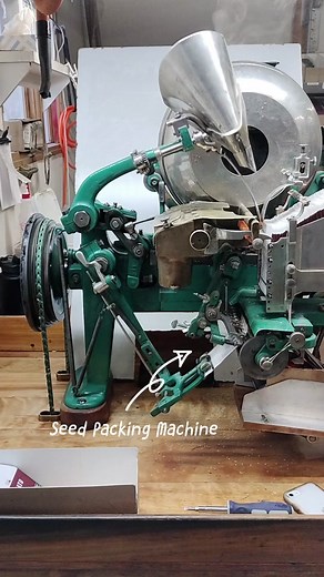 Survival Garden Seeds on TikTok