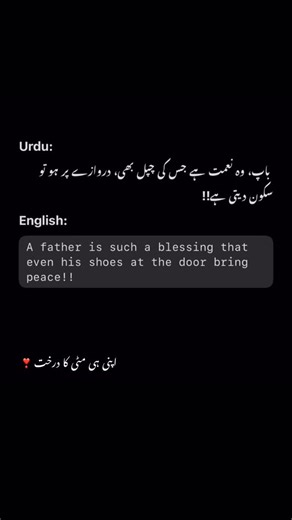 ‎اپنی ہی مٹی کا درخت‎ on Instagram: "Sukoon=abbu💚❤️ @apni_hi_mitti_ka_darakht #share #likes #follow #instaprofiles #trendingréels #explorepage✨ #exploremore #foryou #insta"