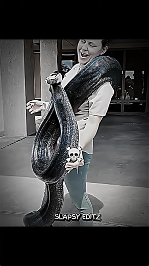 Best Animal Transformations p-2 #shorts #trollface #youtubeshorts #usa