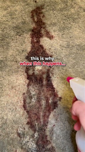 What happens if you use a simple carpet extractor on a wet mess? #deepcleaning #carpetcleaner