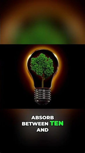 Trees: Nature's Carbon Capture Machines Explained