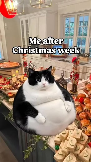 Christmas on Instagram: "c: @merrychristmastree_ 🤍Tis the Season!🎄⛄️❄️ DO YOU LOVE CHRISTMAS? THEN YOU’LL LOVE MY CHRISTMAS ACCOUNT DAILY POSTS EVERYDAY!!✨Follow: @christmasvibesz @christmasvibesz @christmasvibesz @christmasvibesz @christmasvibesz @christmasvibesz @christmasvibesz & LASTLY FOLLOW MY CHRISTMAS COUNTDOWN ACCOUNT AND MY FALL ACCOUNT! ☃️👻 @christmaszcountdown @octobervibessz @christmaszcountdown @octobervibessz @christmaszcountdown @octobervibessz @christmasz