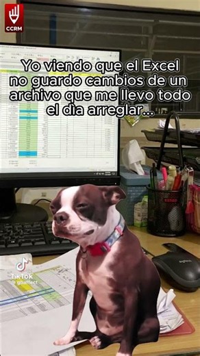 La regla de oro para guardar en Excel