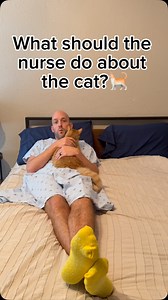 1.7K views · 190 reactions | Cat scratch fever isolation precautions   | LavNurse | Facebook
