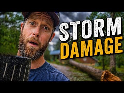 The Storm Left Us a Mess... We Got REALLY LUCKY!