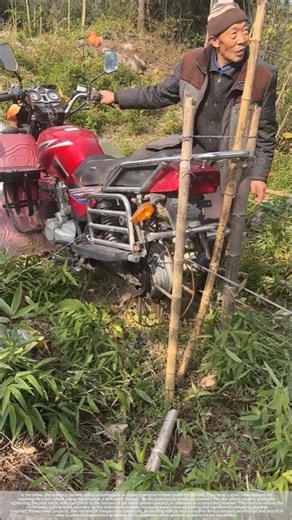 Logging in mountainous areas – good tools and machinery improve work efficiency.