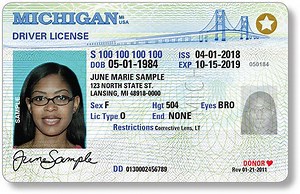 Planning to fly without a Real ID license this summer? You'll need one of these documents