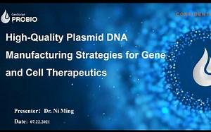 High-Quality Plasmid DNA Manufacturing Strategies for Gene and Cell Therapeutics