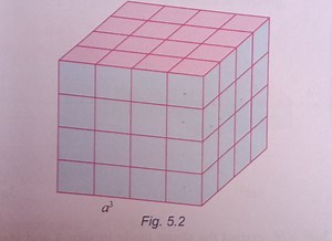 Diagram of a CubeThe image shows a cube divided into smaller ... | Filo