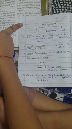 best notes 📖 ( part 1 )class 7 transportation in animals and plants