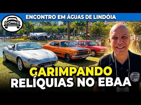 A COLLECTOR'S PARADISE! AMAZING CARS IN ÁGUAS DE LINDÓIA