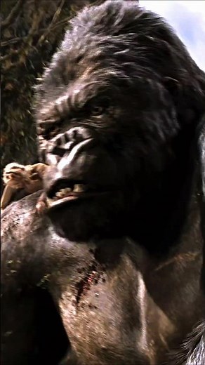 King Kong (2005) 🦍 The moment Kong demonstrates his love for Ann ❤️ #naomiwatts #epicscene #shorts