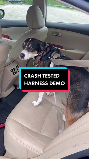 Dog Car Safety Harness for Crash Tested Restraint in Vehicles