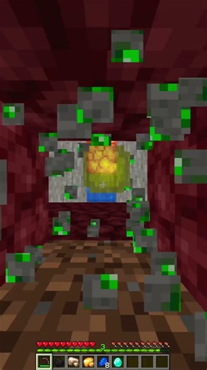 Minecraft Parrot Dance 💃 🦜 #minecraft #memes