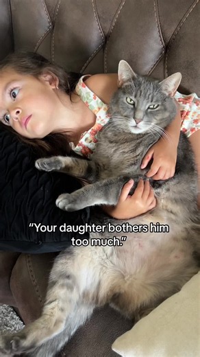 Kitten meow.#catsoftiktok #cat #cute #funnycats #funnyvideos | clingy cat