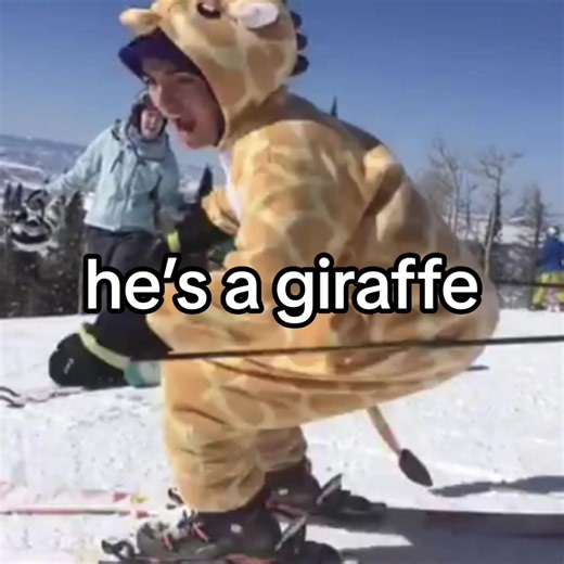 I'm A Giraffe: Colorado Vine Meme Compilation