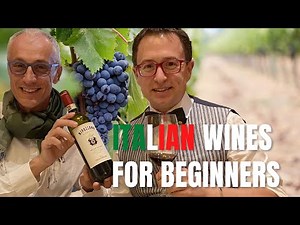 Italian wines for beginners - A beginner guide to Italian wines