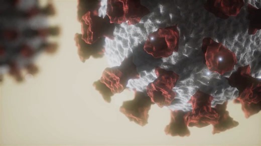 Fluoroquinolone Toxicity Study NFP presents | Jerzy Tyszkowski