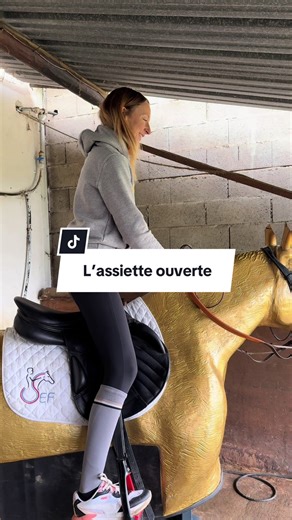 Renforcement Musculaire pour Chevilles en Équitation