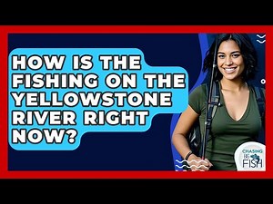 How Is The Fishing On The Yellowstone River Right Now? - Chasing Big Fish