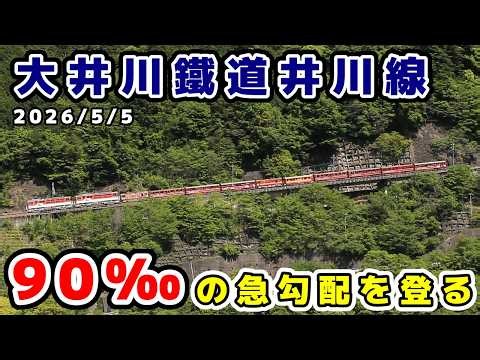 【大井川鉄道】井川線アプト式90‰の急勾配や非電化区間での走行シーンなど ※警笛あり
