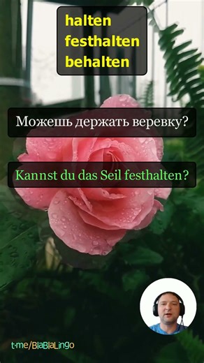 Глаголы halten, festhalten, behalten - пойми разницу за минуту? #немецкийдляначинающих #учунемецкий