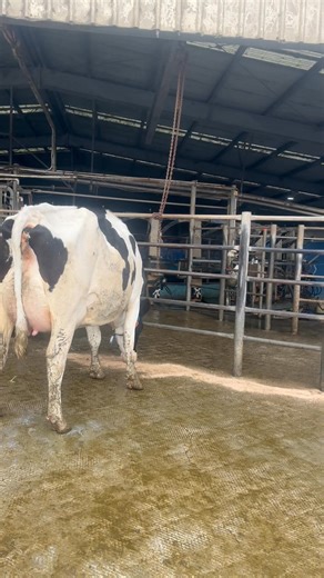 13K views · 253 reactions | We’re possibly juggling more things than...