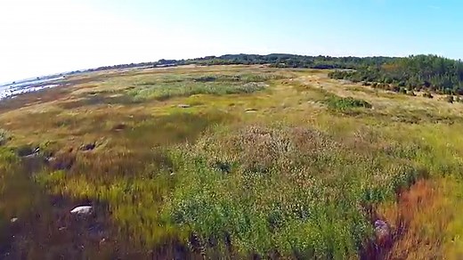 Prangli Island Day Trip | Day Trips from Tallinn | Tallinn Day Trip