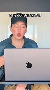 A shake-off is one of the most misunderstood behaviors in dogs. I just recently posted a reel where both my dogs did shake-offs after a somatic session with me. This behavior is often labeled as anxiety, overstimulation, or “random behavior,” but in many cases it reflects the nervous system discharging activation and reorganizing toward baseline. Shake-offs can occur: • after stress • after excitement • after restraint or pressure • after connection or touch On their own, shake-offs aren’t good 