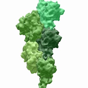 Molecular Flipbook - COOL HUNTING®