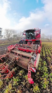 668K views · 3.5K reactions | Harvesting fodder beet with the Vervaet beet harvester with the Case Puma and Suzy carting | Pro Horizon Farming Content | Facebook
