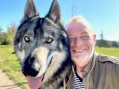 CHIEN-LOUP définition & mode d'emploi