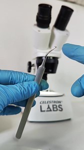 Explore the Celestron Labs S10-60 Stereo Microscope