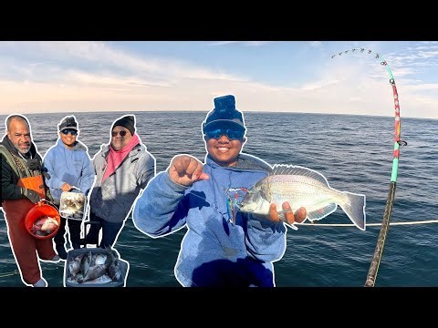 Ultimate Porgy Slam on Jamaica II Boat with Brothers In Bait!