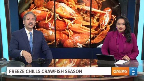 Freeze chills crawfish season