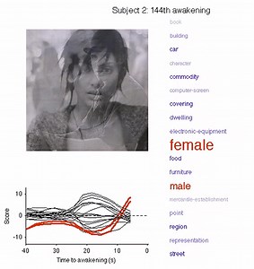 Japanese Researchers Develop Algorithm That Can Predict Images in Dreams