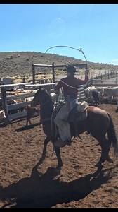 Fancy loop | Western Works