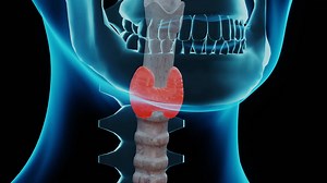 Find out the symptoms of thyroid disease and why getting expert care is a must. Learn More: https://rb.gy/fveacf | NBC4