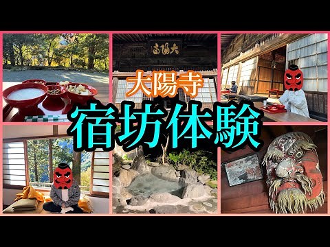 【宿坊】奥秩父の人気No. 1宿坊『大陽寺』☀️日本文化を一泊二日で体験🍁