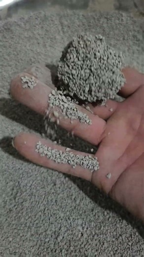 Experience Our Premium Clumping Crushed Bentonite Cat Litter Testing~ #Manufacturer #petproducts