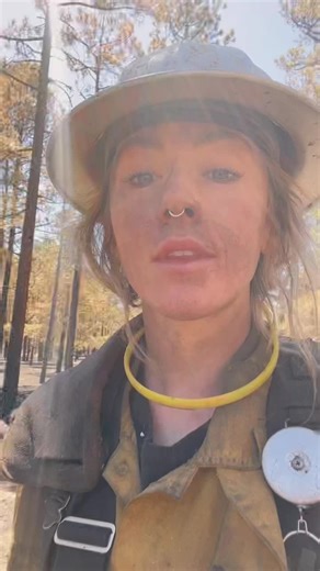 Black Fire Wildfire Hazard Tree Removal in New Mexico