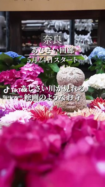 絶景あじさい回廊と岡寺の魅力