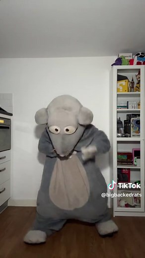 Tim Cheese (@bigbackedrats)’s videos with I Run - HAVEN. & Kaitlin Aragon