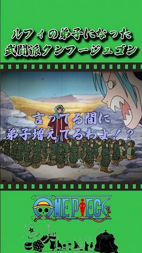 ルフィの弟子になった武闘派クンフージュゴン #onepiece #ワンピース #アニメ #雑学