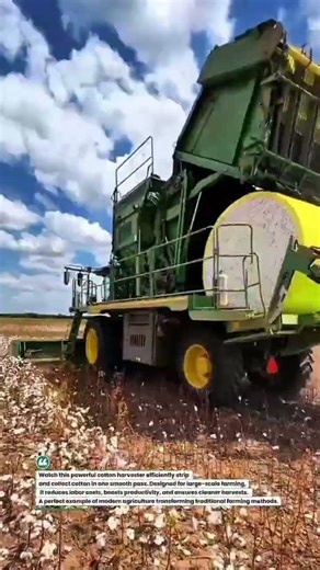 High-Efficiency Cotton Harvester in Action 🚜🌿 #CottonHarvest #AgriTech #Farming