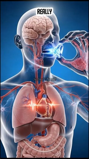 Meth Damage Explained | US Drug Awareness Short #scienceby3d #viral #viralshort #viralshorts #fyp