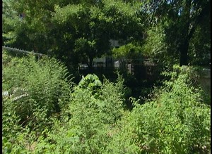 While Rev & Justine clear the clutter, Angela & Vanessa try to make it on their own...and sees nothing but trash! Do ya'll remember this moment? Watch vintage episodes NOW on Pluto TV: [http://bit.ly/2lYkKNu] | Run's House