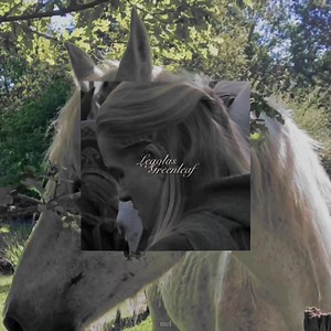 Legolas Greenleaf edit: emotional tribute to Orlando Bloom